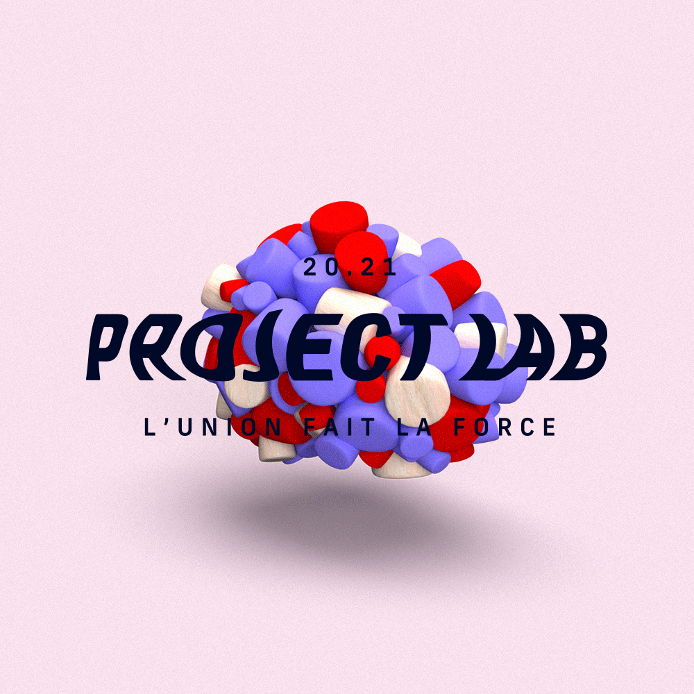 Project Lab